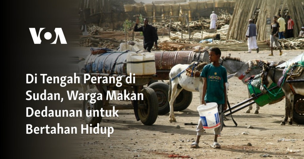 Di Tengah Perang di Sudan, Warga Makan Dedaunan untuk Bertahan&nbsp;Hidup
