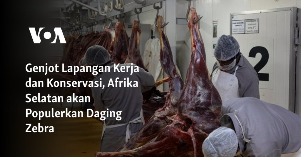Genjot Lapangan Kerja dan Konservasi, Afrika Selatan akan Populerkan Daging&nbsp;Zebra