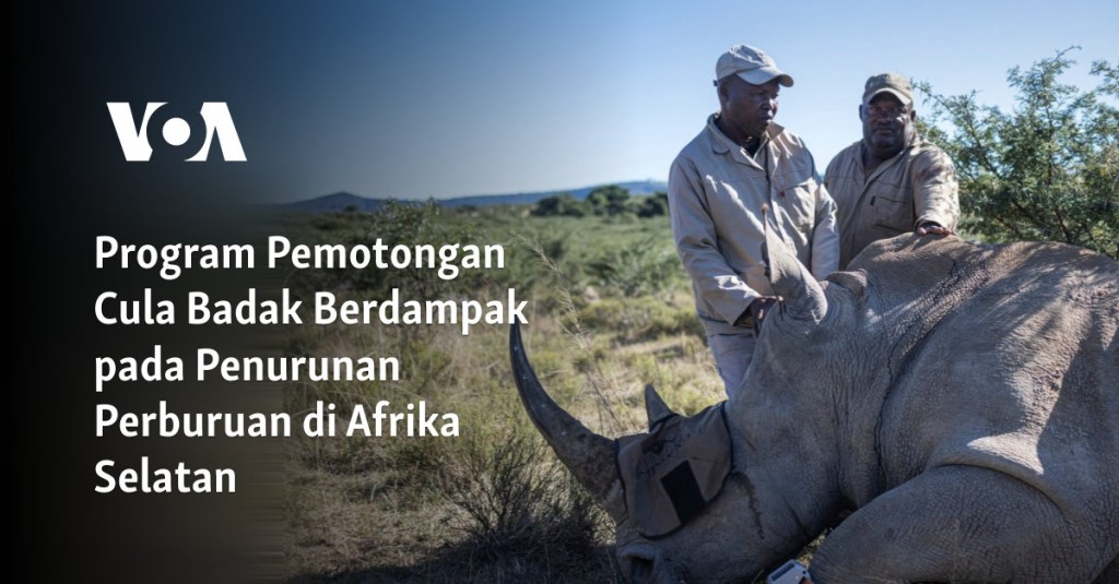Program Pemotongan Cula Badak Berdampak pada Penurunan Perburuan di Afrika Selatan